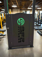 SFE Commercial Back / Abdominal Combo Machine with 250lb Weight Stack