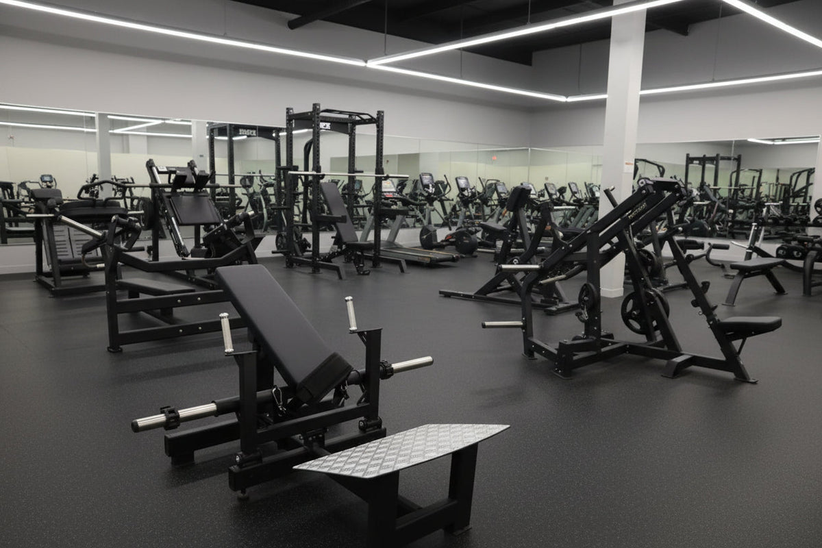 SFE Commercial Hip Thrust Glute Machine